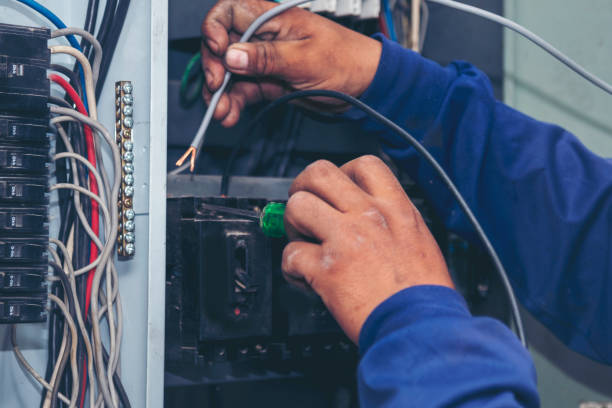 Best Affordable Electrician  in Suncoast Estates, FL
