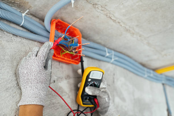 Best Local Electrician Companies  in Suncoast Estates, FL
